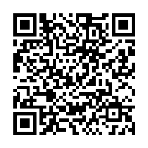 而且他也想要在第一时间得到夏天身上的所有宝物二维码生成