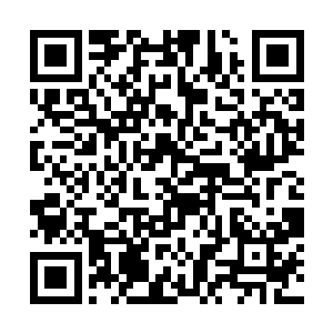 而且他们对于许紫烟在仙界为他们建立了一个落脚地二维码生成