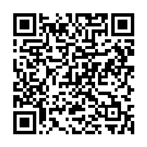 而且他怎么会那么凑巧得知天庭被青帝发现出世了二维码生成