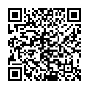 而且他还特地购置没漂亮的鲜花在食盒周围点缀二维码生成