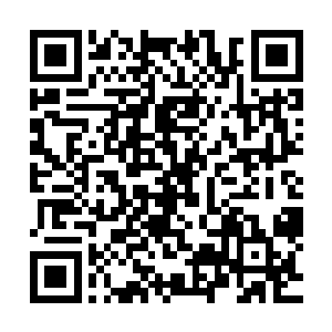 而且仙主居住的地方本身具有的仙元力是丹符宗能够比拟的吗二维码生成