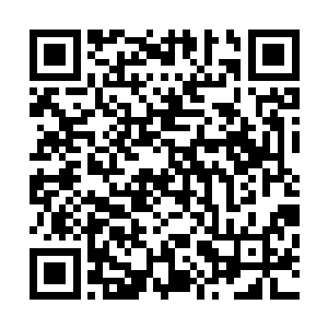 而且令他最惊讶的是左护法居然会知道对面那些荒兽的行踪二维码生成