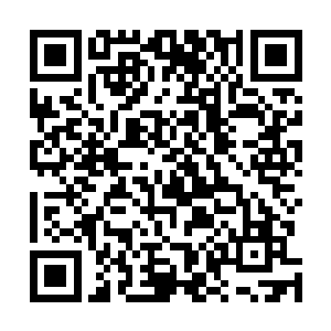 而且以秦家的地位给她张罗的对象自然都是精英优秀之人二维码生成