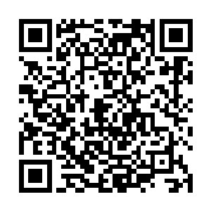 而且估计吕洞宾等人也是在结束了战斗之后就立刻赶来二维码生成