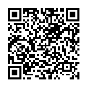 而且你也可以在苍澜宗招收一些愿意跟随你的弟子二维码生成