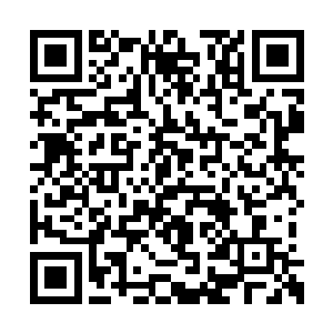 而且你送回去的龙鳞和龙骨还有龙族身上的宝物二维码生成
