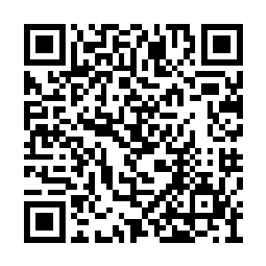 而且使得他们经脉命府能承受的仙力也多了许多二维码生成