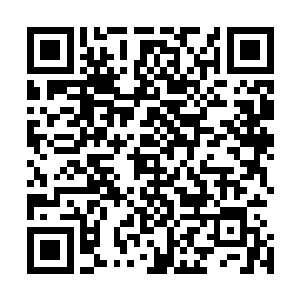 而且俞晗还是市政府副秘书长兼法制办主任徐祥东的外甥女二维码生成