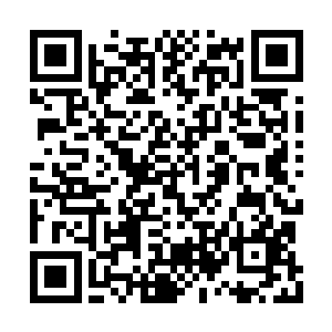 而且其中绝大多数都是外界难得一见的奇珍妙药二维码生成