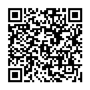 而且凤君翔也不是个只会花天酒地无所事事的草包二维码生成