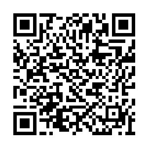 而且厉灵海和丁铃铛他们留下的道标也足够清晰二维码生成