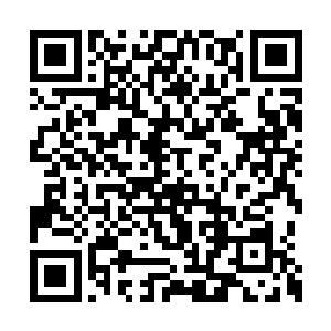 而且原主在那么险恶冷漠的环境下都生存了下来二维码生成