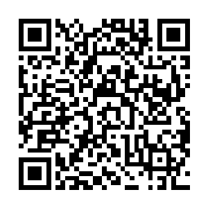 而且又任务失败的他们只怕将无法再得到奥林匹斯的庇护二维码生成