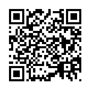 而且只针对这一个工厂生产的系列地雷二维码生成