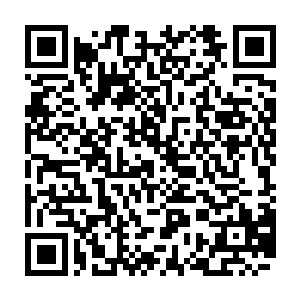 而且和秦方也相当亲昵的样子……虽然暂时还不知道它到底有多么的可怕二维码生成