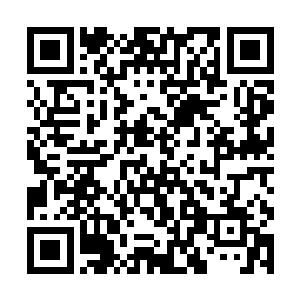 而且四大家族还在整片星海中投放了大量强力干扰源二维码生成