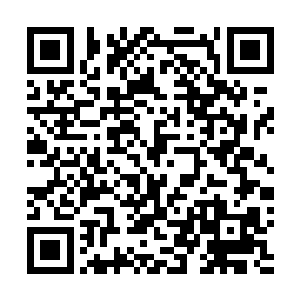 而且因为九尾狐没有男血脉了她们现在也没有别的血脉了二维码生成