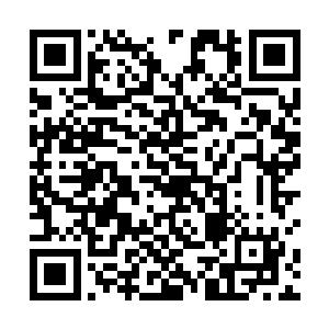 而且夏天最后的那一下可以说是让他们长了很大的见识二维码生成