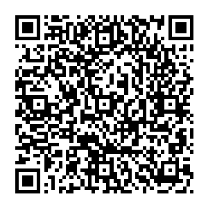 而且多如狗大哥你的笔力真的出了很大问题以后就不用再说这句话了我们都知道的说通俗点就是瞎编然后临时填坑二维码生成