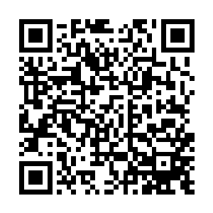 而且她也从这位老神仙的身上感受到一股特别亲切的感觉二维码生成