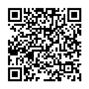 而且她也认为这十一种属性已经融合到大圆满境界二维码生成
