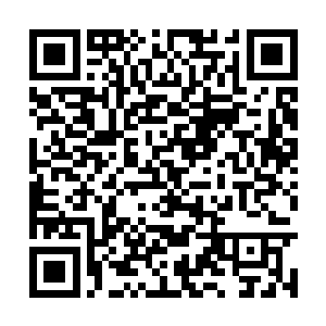 而且她的本体强度只是相当于上元大陆的圣级七层二维码生成