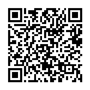 而且姬圣杰想跟着去倒是让莫小鱼心里轻松了不少二维码生成