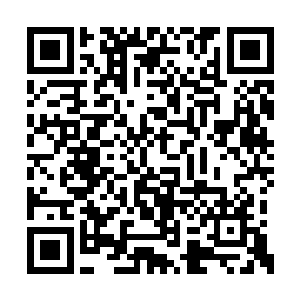 而且小秋后面的戏大部分都是跟雅文的对手戏啊二维码生成