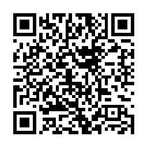 而且就算是自己的元神境界也没有超过那只穿山甲二维码生成