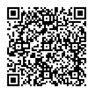 而且就连那个截止到目前为止已经被陈诚杀死过俩次的蝎子也回家出了一个锁子甲二维码生成
