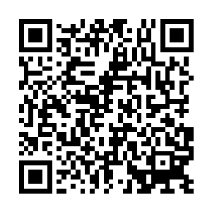 而且尸体竟然能将那枚将轻易抹杀自己的玉牌夹住二维码生成