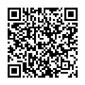 而且已经可以投入到地元界的战场进行小规模的实战了二维码生成