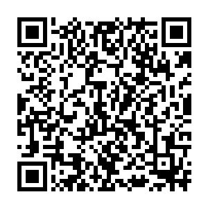 而且平日里惯穿的暗金龙纹锦缎黑袍也换成了粗布麻衣制成的护卫服二维码生成