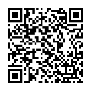 而且平素十分严苛的导员对他拖着的皮箱视而不见二维码生成