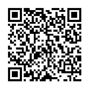 而且弗莱和艾琳驾驶的车辆已经一左一右的到了他们的前方二维码生成