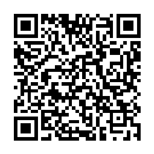而且张和尘还提到了楚鹤轩居然鼓动汪明浩调查自己二维码生成
