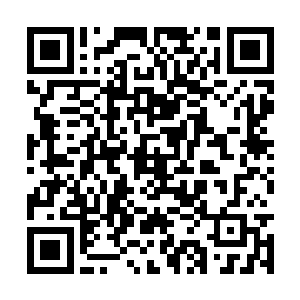 而且彦飞还是扬州王派下的审判司亲自认命的城主二维码生成