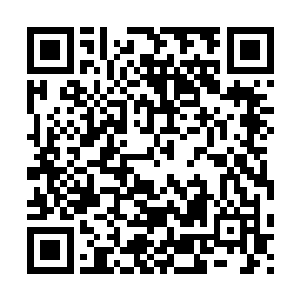 而且恰好那地镇关和天镇关底下的上古遗迹自己也能够破解的话二维码生成