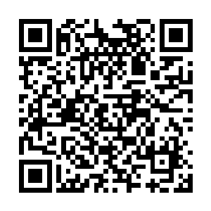 而且想不到这丑婶居然是寒仙门著名十二属相之一二维码生成