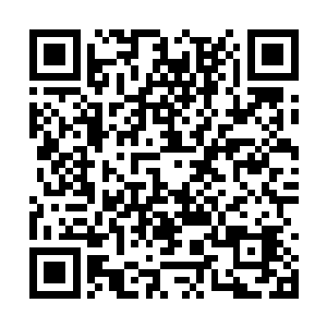 而且我们洗尘仙门怎么可能连掌门千金都保护不了二维码生成