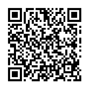 而且我估计八千万都未必能拍完……他还真敢玩二维码生成