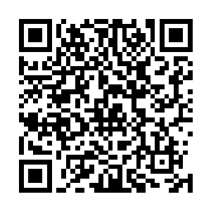 而且我只说过九阶的万法之心会是小树生成的最后一颗果实二维码生成