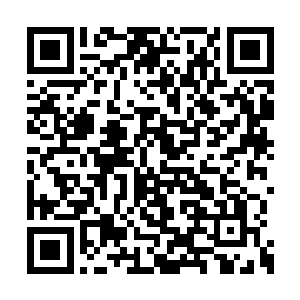 而且我可以承诺今天的盲拍里面绝对有一件宝物二维码生成