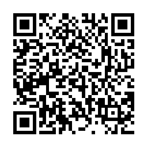 而且我还能够看到上面披挂上了一层层的青金缠玉甲片二维码生成