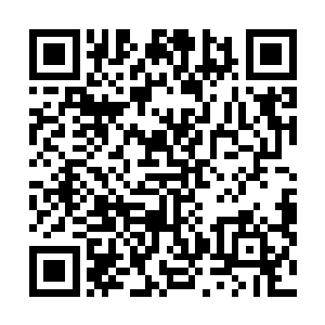 而且我还要省着让我用来领悟先天境界……此地不可久留二维码生成