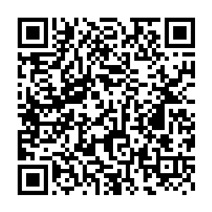 而且打伤他的人还是自己放进去的――吕含烟担心自己会受到处罚二维码生成