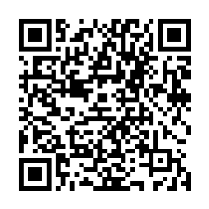 而且据说如今整个上元大陆的修士数量已经不足四百五十亿二维码生成