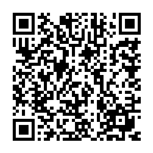 而且数量还不算是特别少……尤其是一些非常神秘而庞大的秘境中二维码生成