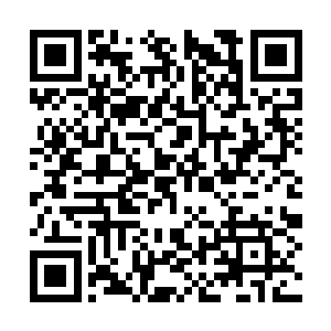 而且无论从规模还是数量上都超过了欧阳迟的画廊二维码生成