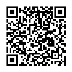 而且是从粗使丫头一路升级变成小姐的心腹陪嫁丫鬟二维码生成